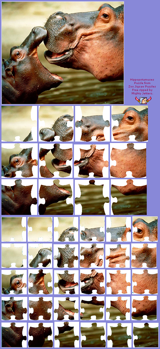 Zoo Jigsaw Puzzles Games Free - Hippopotamuses