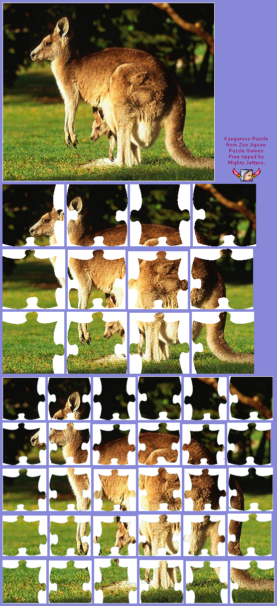 Zoo Jigsaw Puzzles Games Free - Kangaroos