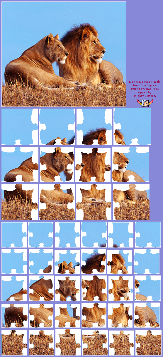 Zoo Jigsaw Puzzles Games Free - Lion & Lioness