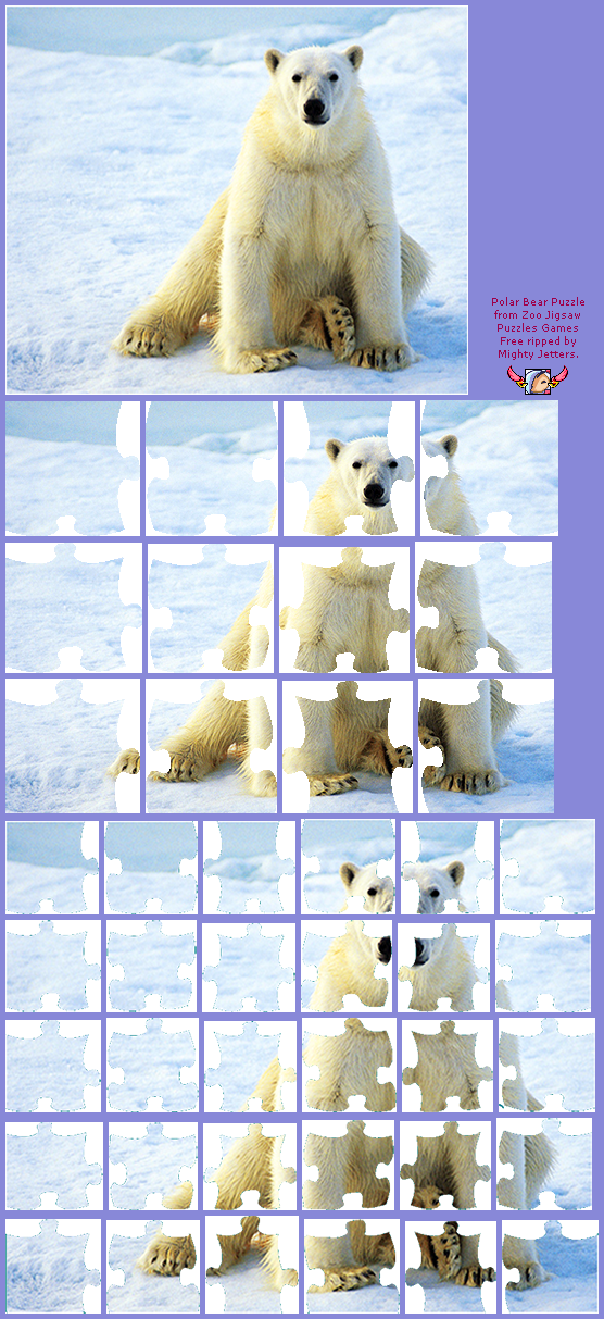 Polar Bear