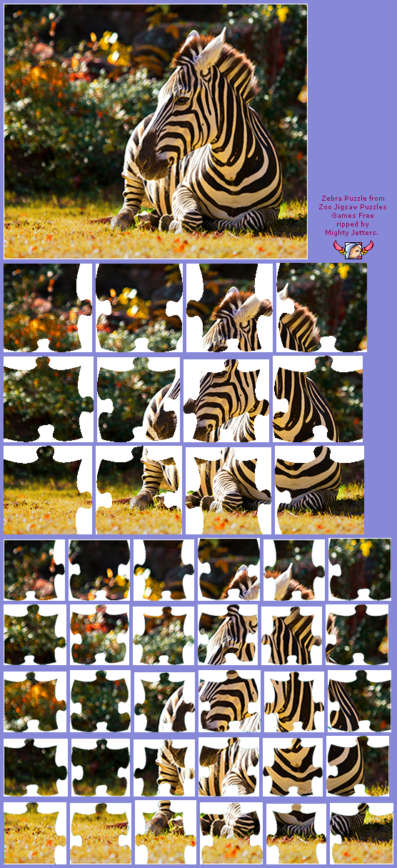 Zoo Jigsaw Puzzles Games Free - Zebra