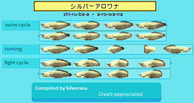 Silver Arowana