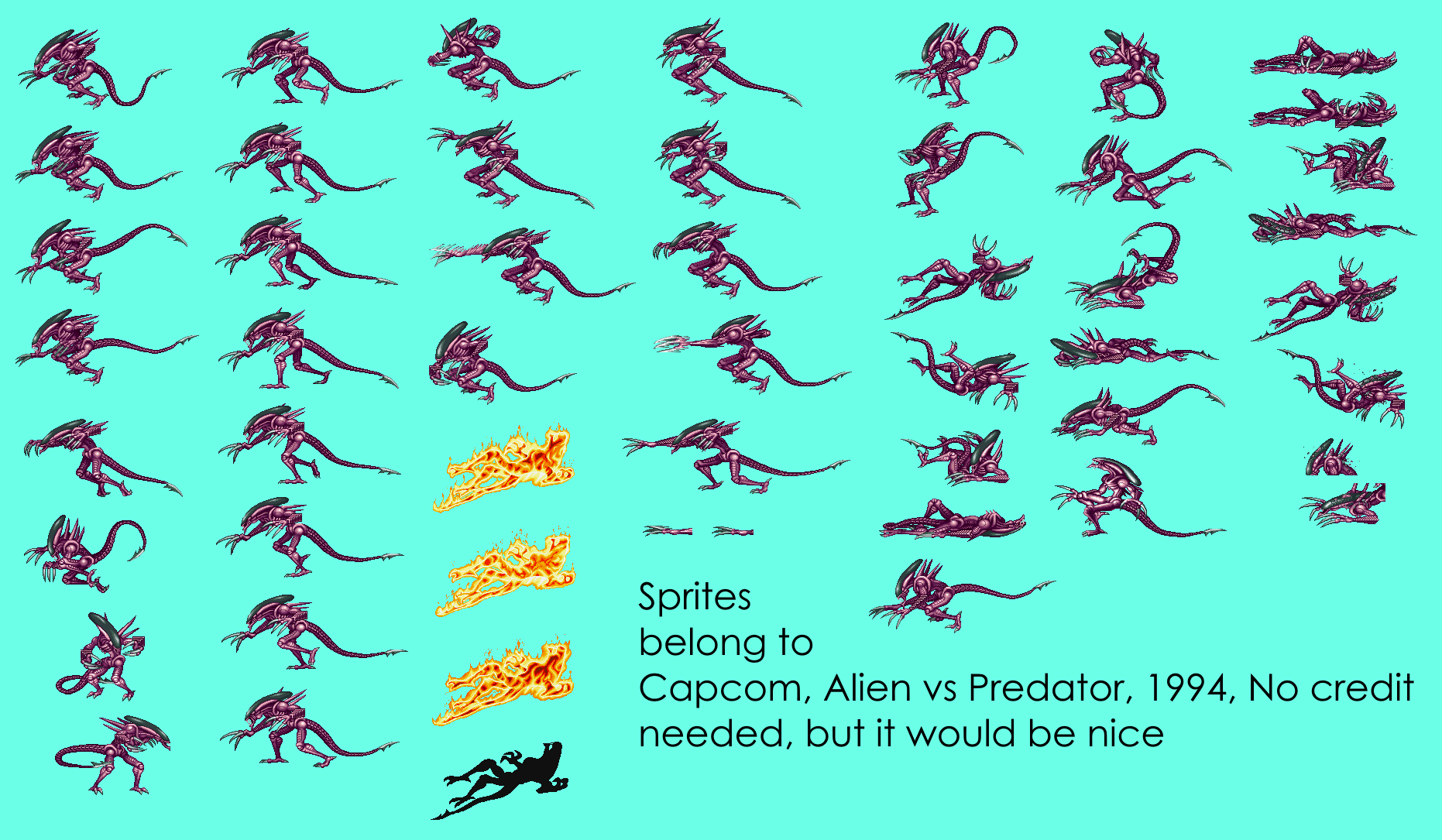 Alien vs. Predator - Razor Claws