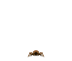 Louse - 3D Hero